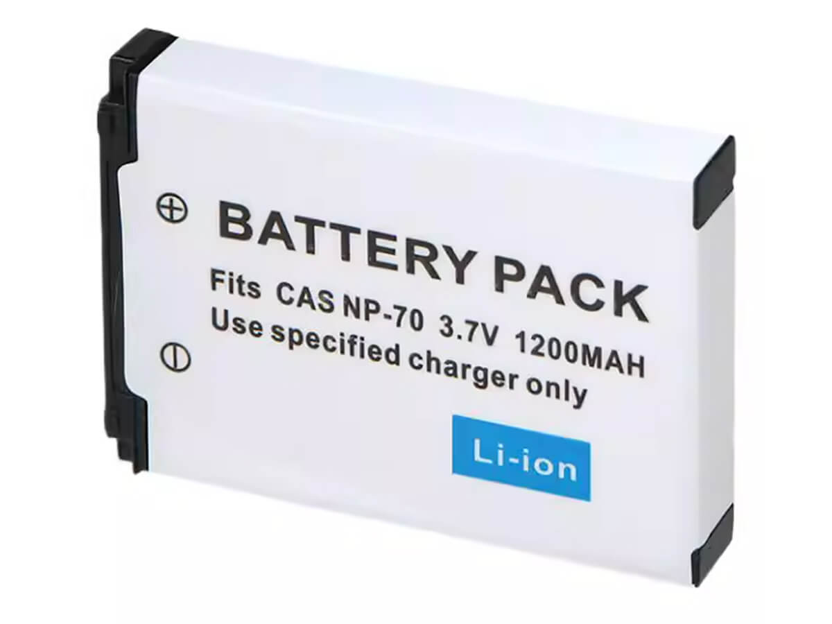 compatibile con NP-70 CASIO