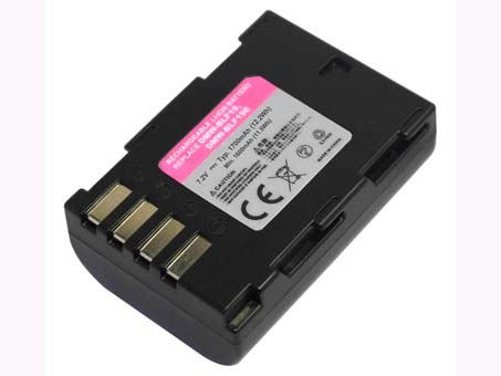 compatibile con DMW-BLF19E PANASONIC