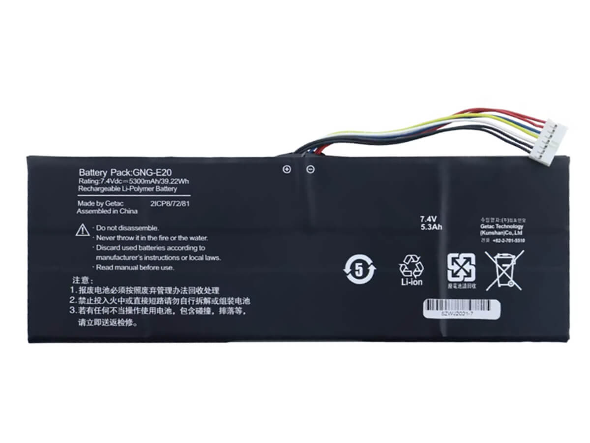 compatibile con GNG-E20(2ICP8/72/81) GIGABYTE