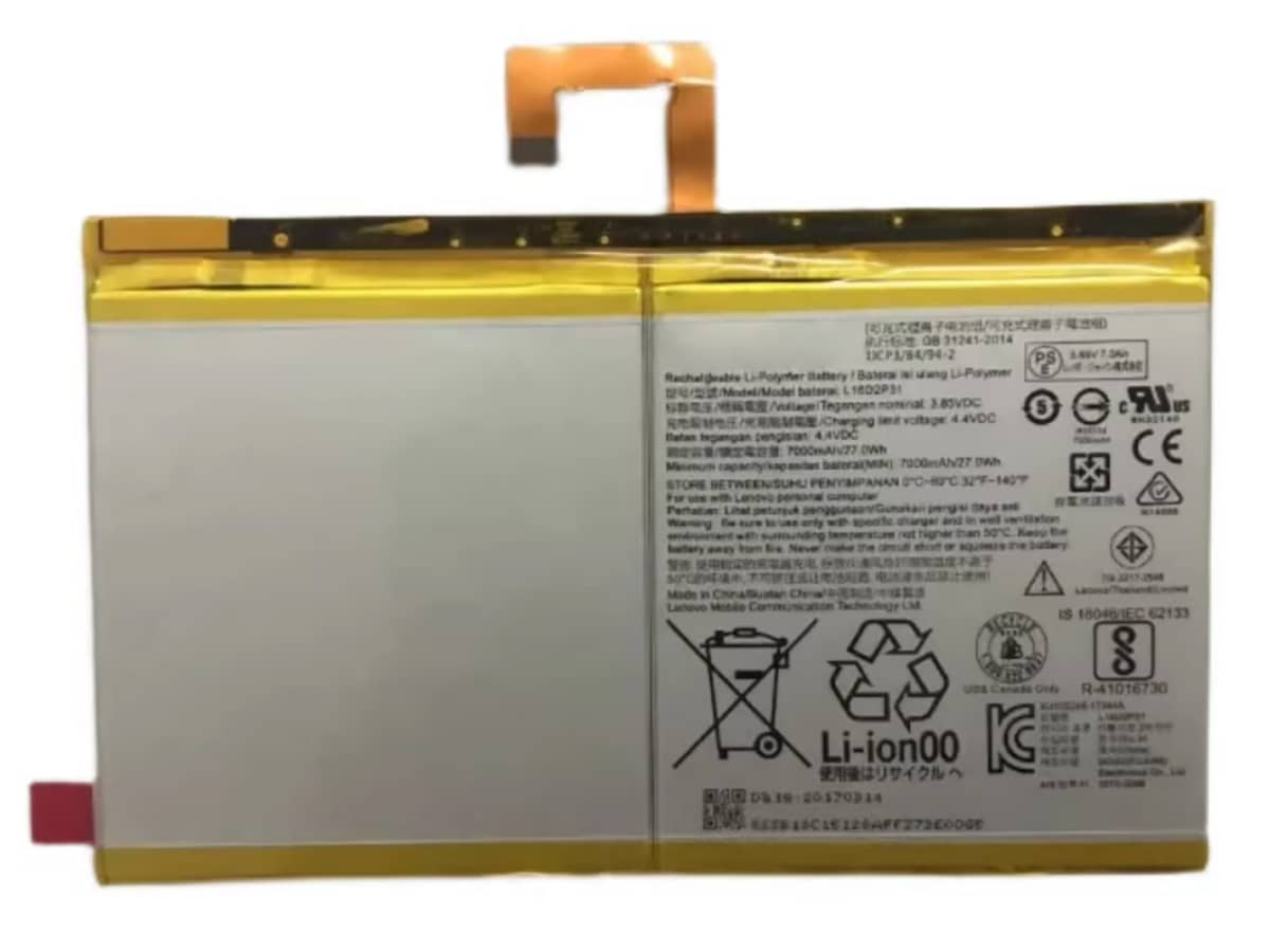 compatibile con L16D2P31 LENOVO