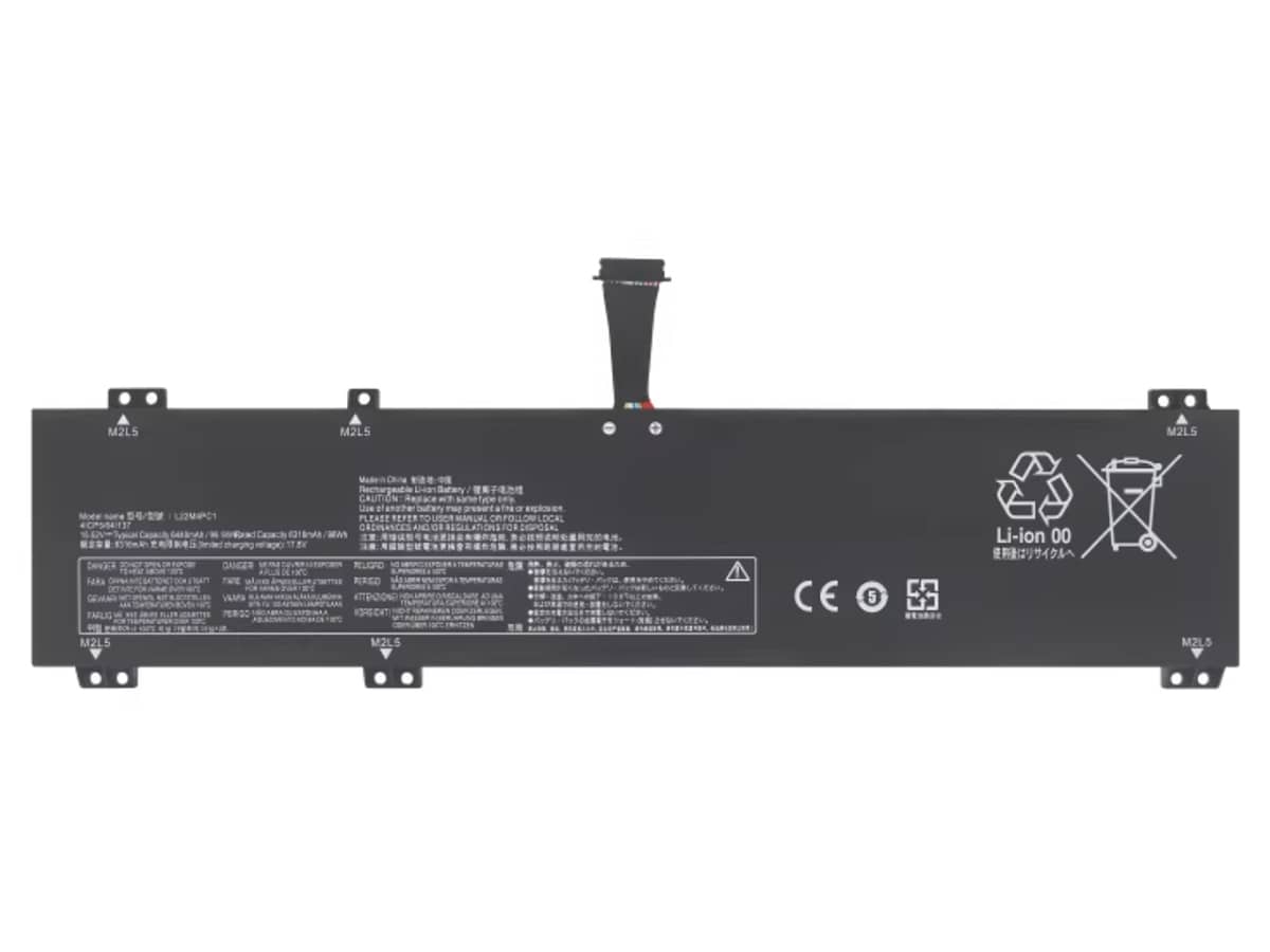 compatibile con L22M4PC1 LENOVO