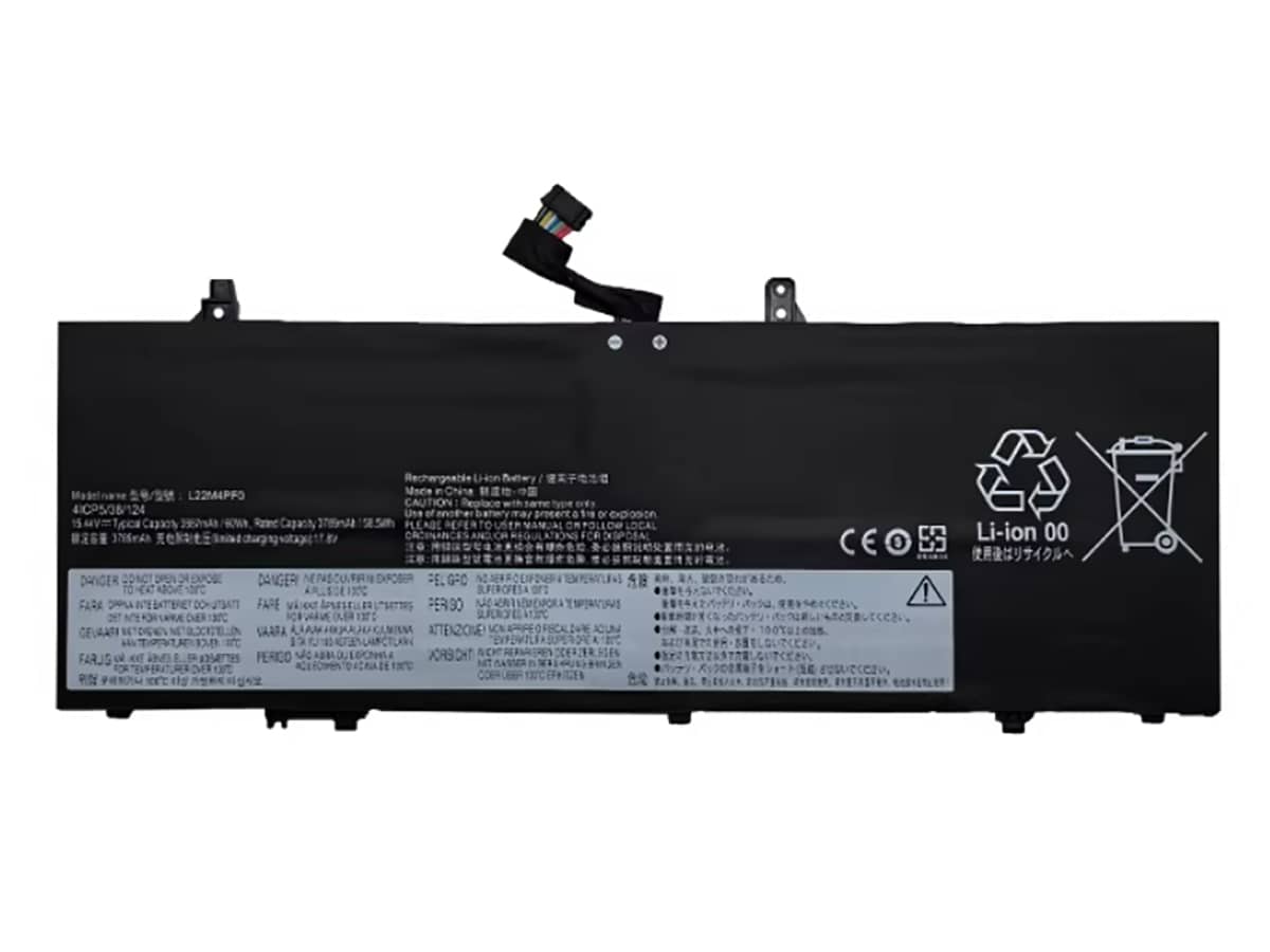 compatibile con L22M4PF1 LENOVO