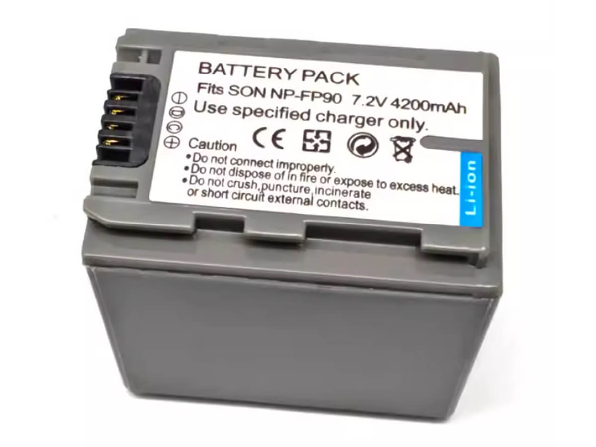 compatibile con DCR-SR30E SONY